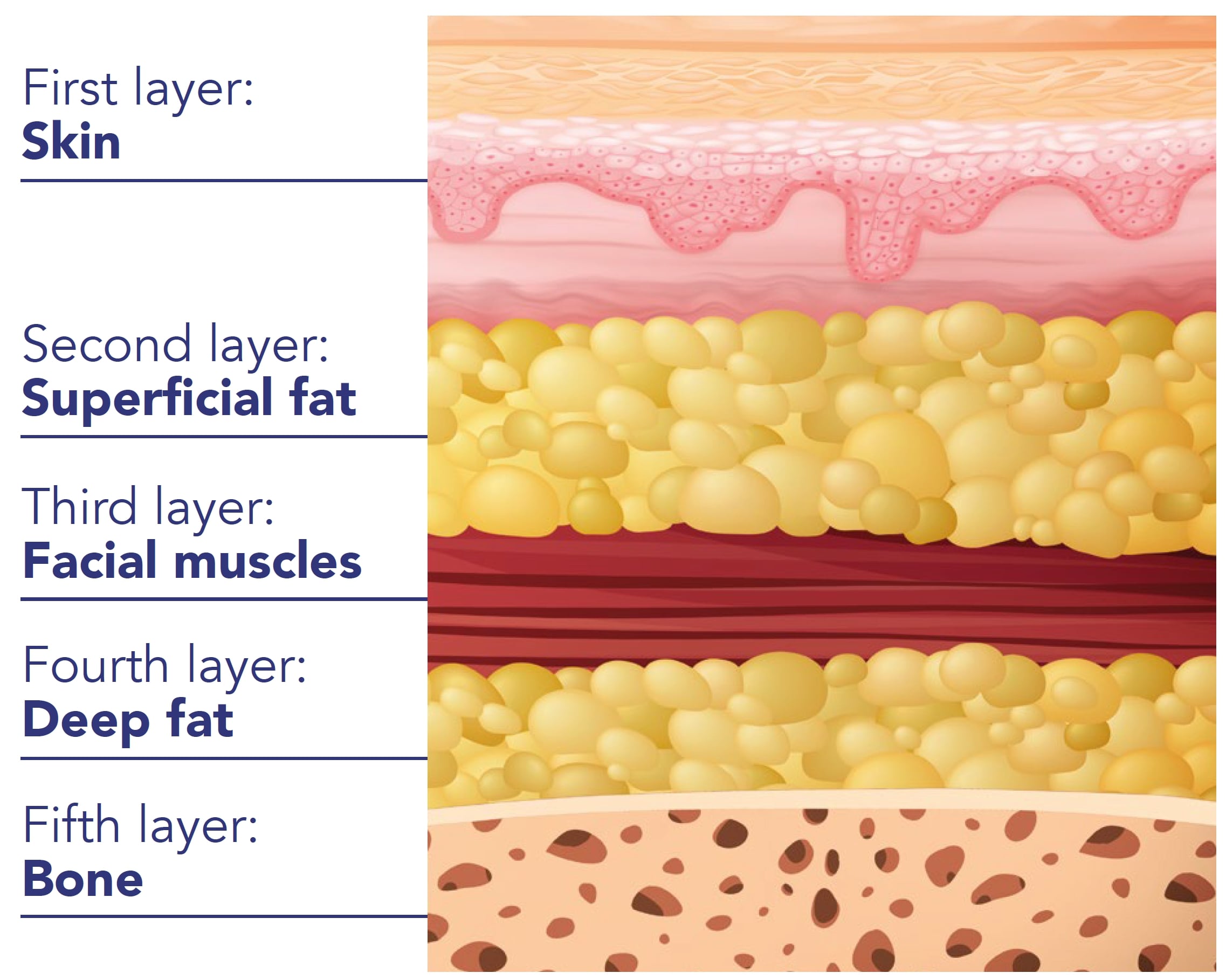 Aging isn't just about the skin